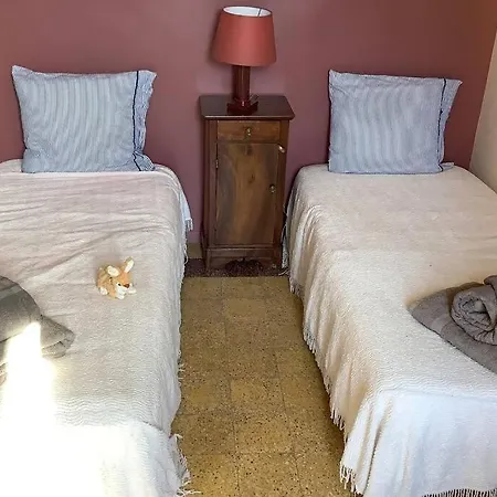 Rare! Jardin Vielle Ville Avec Studio