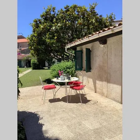 Rare! Jardin Vielle Ville Avec Studio